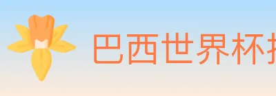 巴西世界杯投注入口 logo